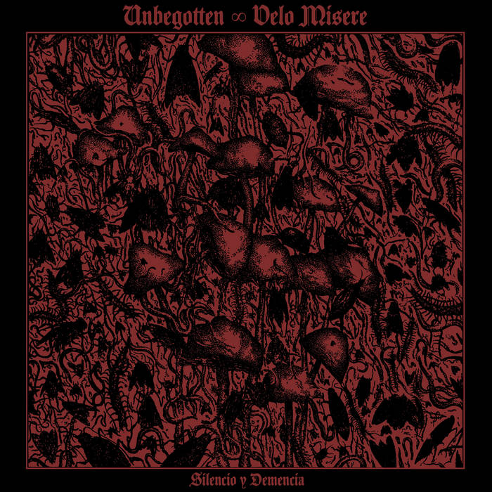 Unbegotten / Velo Misere (ESP) - Silencio y Demencia LP