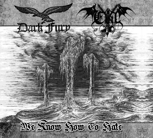 Dark Fury (POL) / Evil (BRA) - We Know How to Hate Digi-CD
