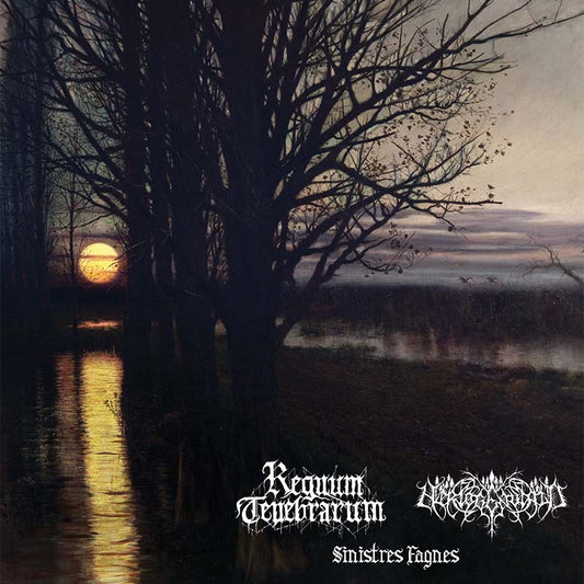 Regnum Tenebrarum (BEL) / Hertogenwald (BEL/FRA) - Sinistres Fagnes LP / CD