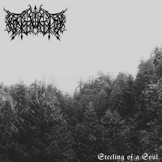 Erstwhile (USA) - Steeling Of A Soul LP