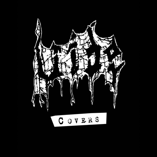 vide (USA) - Covers 7" [Test Press]